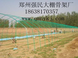 鄭州市強民大棚骨架廠 構筑現代農業的堅實脊梁——花卉與溫室大棚骨架產品全覽