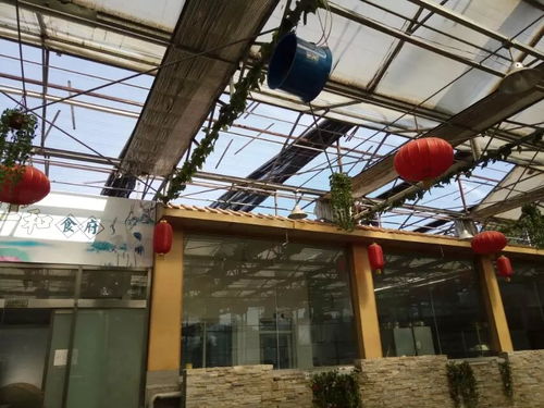 光伏溫室頂棚材料升級(jí) 透明陽光板替換塑料板，抗紫外線防冰雹更劃算