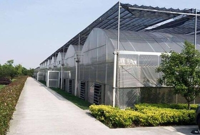 綠色保障，信譽(yù)見證 安慶市陽光板連棟溫室大棚庫存充足之優(yōu)勢(shì)解析